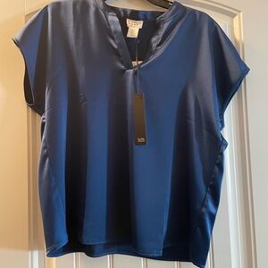 Nicole Miller Blue Cap Sleeve Blouse with Mandarin Collar